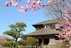 Tokyo: 2-dagers privat tur til Tochigi og Ibaraki med onsen