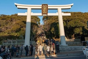 Tokyo: 2-dagers privat tur til Tochigi og Ibaraki med onsen