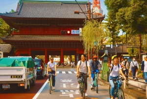Tokio: 3-stündige Bike/E-Bike Tour zu den versteckten Juwelen der Stadt