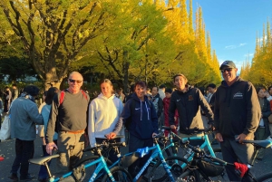 Tokio: 3-stündige Bike/E-Bike Tour zu den versteckten Juwelen der Stadt
