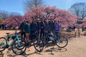 Tokio: 3-stündige Fahrrad- oder E-Bike Tour durch die Highlights der Stadt