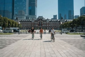 Tokyo: 3-Hour E-bike/Bike Tour of the City's Highlights