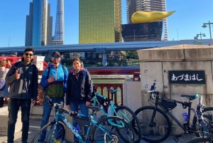 Tokyo: 3-Hour E-Bike Tour of the City's Bay-side Areas