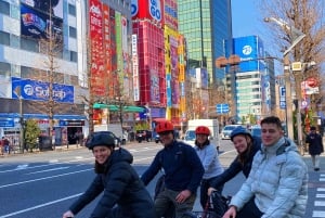 Tokyo: 3-Hour E-Bike Tour of the City's Bay-side Areas