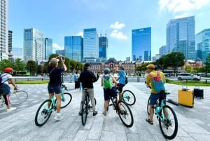 Tokyo: 3-Hour E-Bike Tour of the City's Bay-side Areas