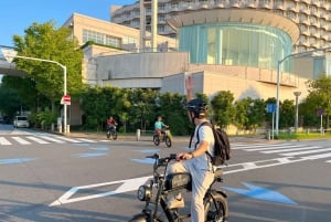 Токио: 3-часовой тур на электровелосипеде по скрытым жемчужинам города