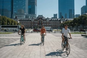 Tokyo: 3-Hour E-bike/Bike Tour of the City's Historic Sites