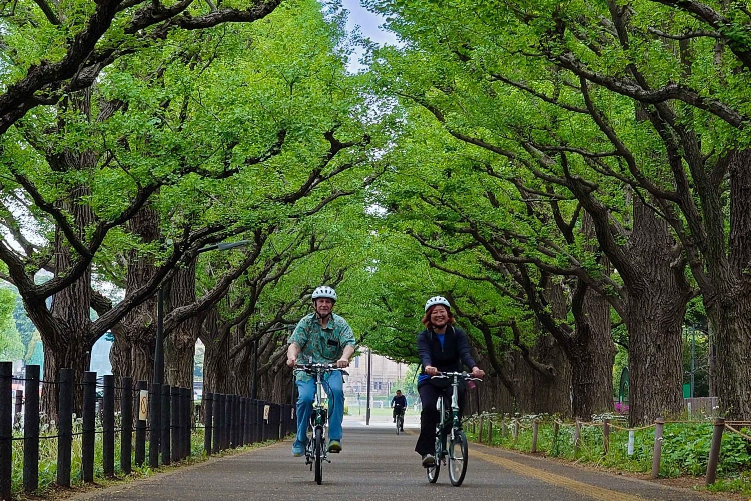 Tokyo: Tour privato in e-bike di 3 ore con partenza dal tuo hotel