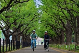 Tokyo: Tour privato in e-bike di 3 ore con partenza dal tuo hotel