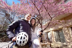 Tokyo: Tour privato in e-bike di 3 ore con partenza dal tuo hotel