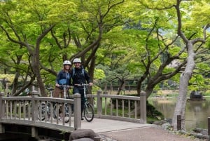 Tokyo: Tour privato in e-bike di 3 ore con partenza dal tuo hotel