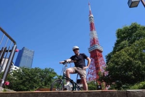 Tokyo: Tour privato in e-bike di 3 ore con partenza dal tuo hotel