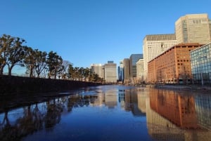 Tokyo: Tour privato in e-bike di 3 ore con partenza dal tuo hotel