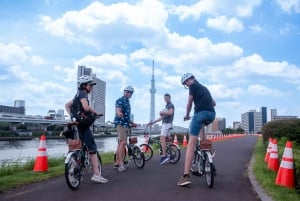 Tokyo: Tour privato in e-bike di 3 ore con partenza dal tuo hotel