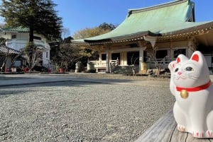 Tokyo: 4-timmars Gotokuji och Shimokitazawa rundvandring