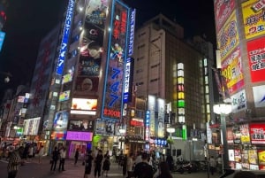 Tokyo: 4 Hours Shibuya - Shinjuku Night Tour