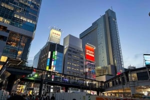 Tokyo: 4 Hours Shibuya - Shinjuku Night Tour