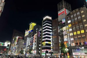 Tokyo: 4 Hours Shibuya - Shinjuku Night Tour