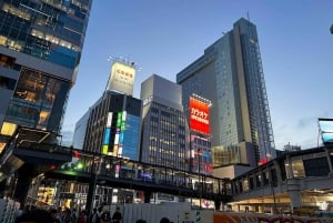 Tokyo: tour serale di 4 ore a Shibuya - Shinjuku