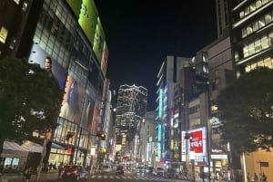 Tokyo: tour serale di 4 ore a Shibuya - Shinjuku