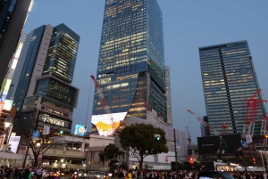 Tokio: 4 tunnin Shibuya - Shinjuku -yökierros