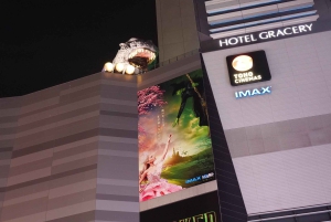 Tokio: 4 tunnin Shibuya - Shinjuku -yökierros