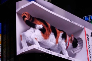 Tokio: 4 tunnin Shibuya - Shinjuku -yökierros