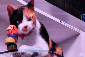 Tokio: 4 tunnin Shibuya - Shinjuku -yökierros