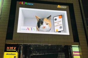 Tokio: 4 tunnin Shibuya - Shinjuku -yökierros