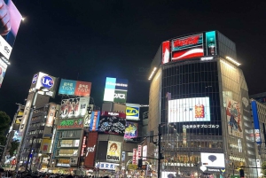 Tokio: 4 tunnin Shibuya - Shinjuku -yökierros