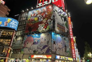 Tokio: 4 tunnin Shibuya - Shinjuku -yökierros