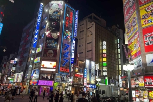 Tokio: 4 tunnin Shibuya - Shinjuku -yökierros