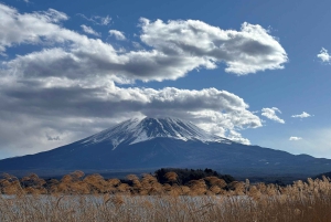 Tokyo : excursion d'une journée au mont Fuji, à Kamakura, au Grand Bouddha et au lac Ashi