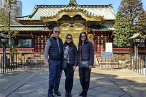 5 timmars privat guidad tur i Tokyo och kalligrafiupplevelse