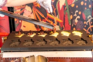 6-timers privat guidet tur i Tokyo og oplevelse med taiyaki-lavning