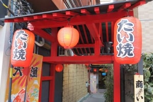 6-timers privat guidet tur i Tokyo og oplevelse med taiyaki-lavning