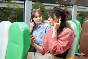 東京：音声ガイド付き60分パノラマオープントップバスツアー