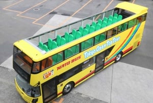 東京：音声ガイド付き60分パノラマオープントップバスツアー