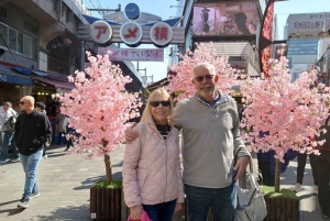 6-godzinna prywatna wycieczka z przewodnikiem po Tokio i robienie sztucznych próbek jedzenia