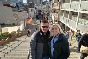 6-godzinna prywatna wycieczka z przewodnikiem po Tokio i robienie sztucznych próbek jedzenia