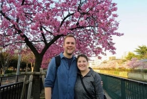 Tokyo 6-timers privat guidet tur og Maki-e-opplevelse