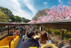 Tokyo: Open Top Sightseeing Bus with Audio Guide