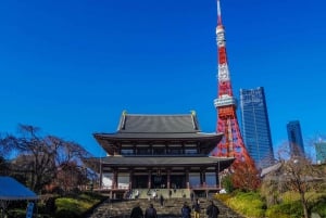 Tokyo: Open Top Sightseeing Bus with Audio Guide