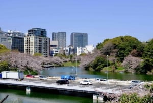 Tokyo: Open Top Sightseeing Bus with Audio Guide