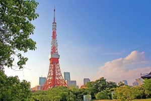 Tokyo: Open Top Sightseeing Bus with Audio Guide