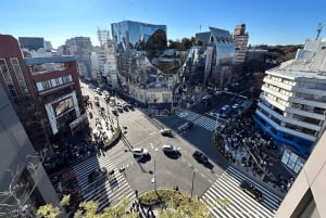 Tokio: täysin räätälöity yksityiskierros vuokratulla autolla