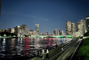 Tokio: täysin räätälöity yksityiskierros vuokratulla autolla
