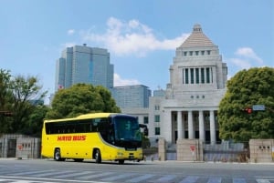 Tokio: Puolipäiväinen bussikierros aamulla.