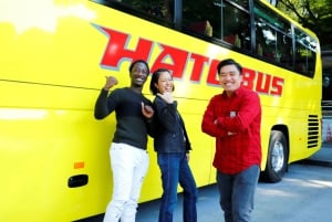 Tokio: Eine Halbtagestour Bustour am Morgen