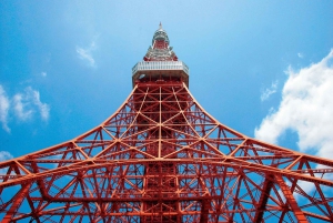 Tokyo: Tour di mezza giornata in autobus al mattino